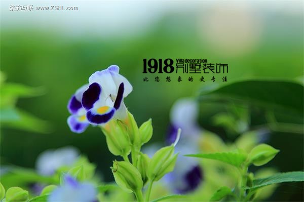 沈陽裝修公司方林裝飾